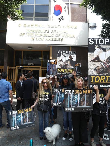 Protesto aconteceu em frente ao consulado da Coreia do Sul em Los Angeles, nos EUA - Frederick M. Brown/Getty Images
