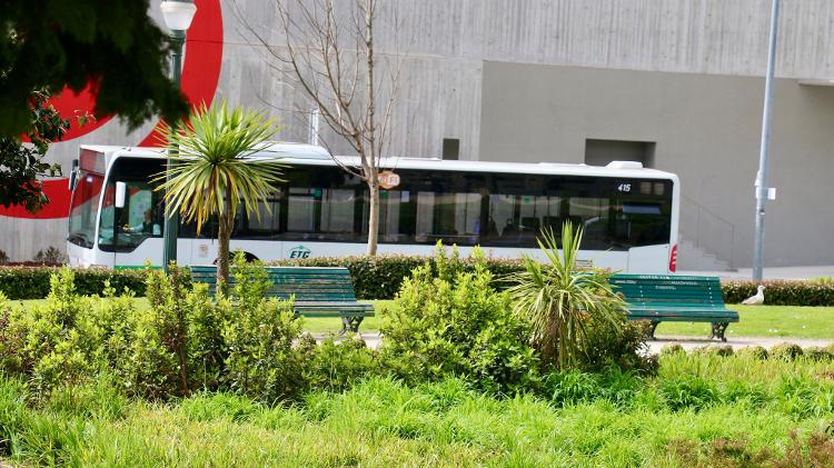 Ônibus circula sem nenhum passageiro no Porto - Lira Neto/UOL