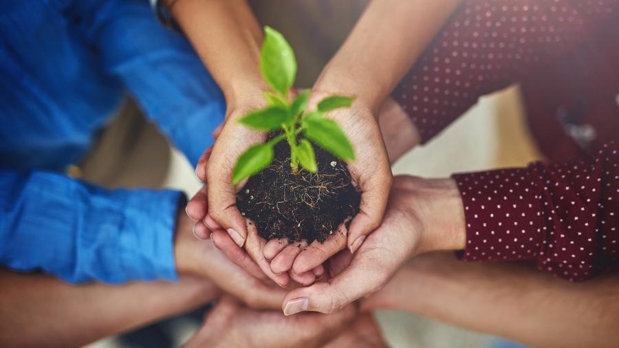 Sustentabilidade, diversidade, universo corporativo - Getty Images