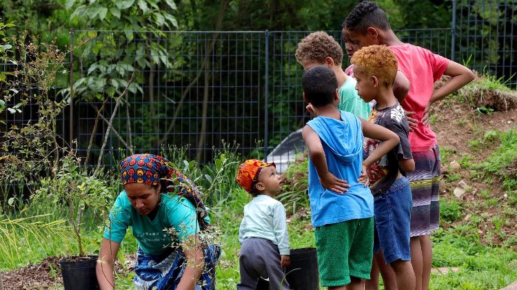 Além dos alunos assumirem o protagonismo nos plantios das miniflorestas, as lideranças escolares e comunitárias também participam.  - Formigas-de-embaúba/Julia Bastos - Formigas-de-embaúba/Julia Bastos