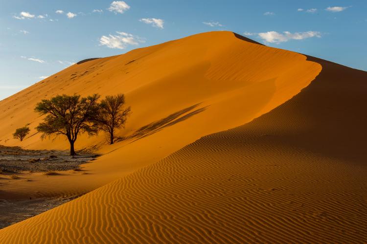 Deserto do Namibe, no Parque Nacional Namib-Naukluft, na Namíbia