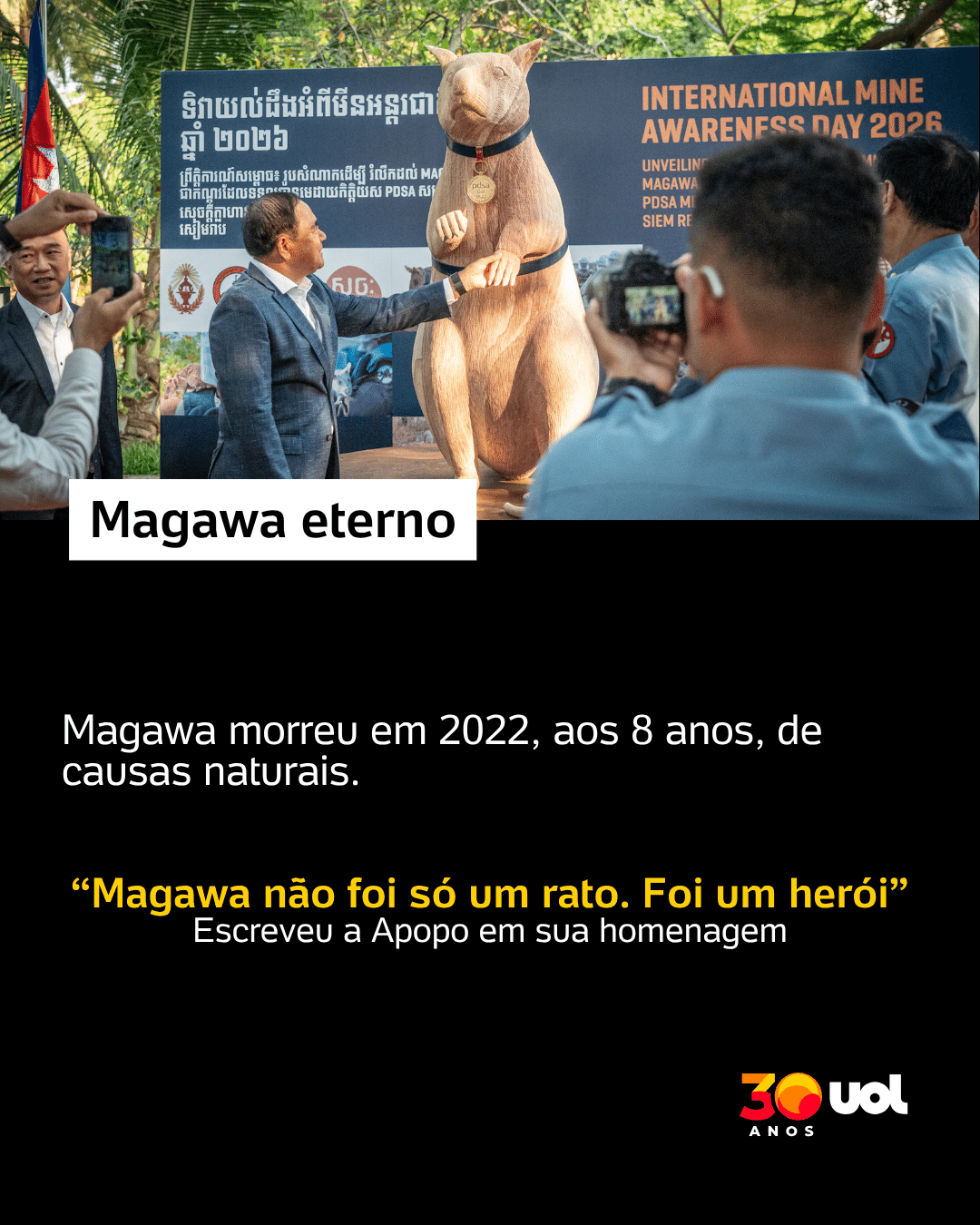 Magawa, rato herói que ganhou homenagem no Camboja - undefined