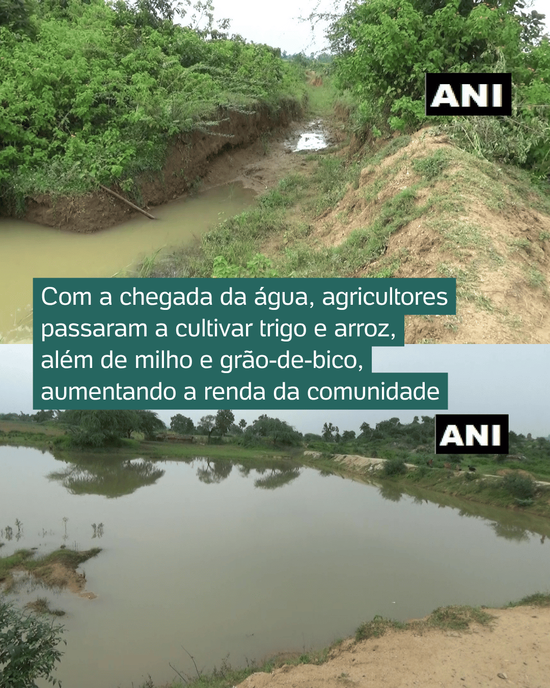 Agricultor cava canal sozinho por 30 anos e transforma vilarejo na Índia - undefined