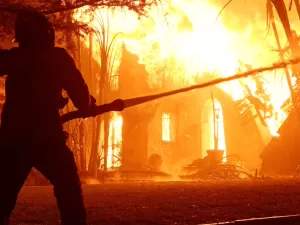 O que são os wildfires que Fernanda Torres flagrou de hotel em Los Angeles