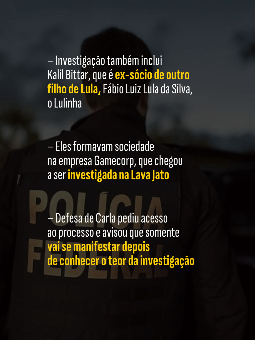 Filho de Lula recebeu policiais em buscas na casa da ex-mulher dele, diz PF 5 - undefined
