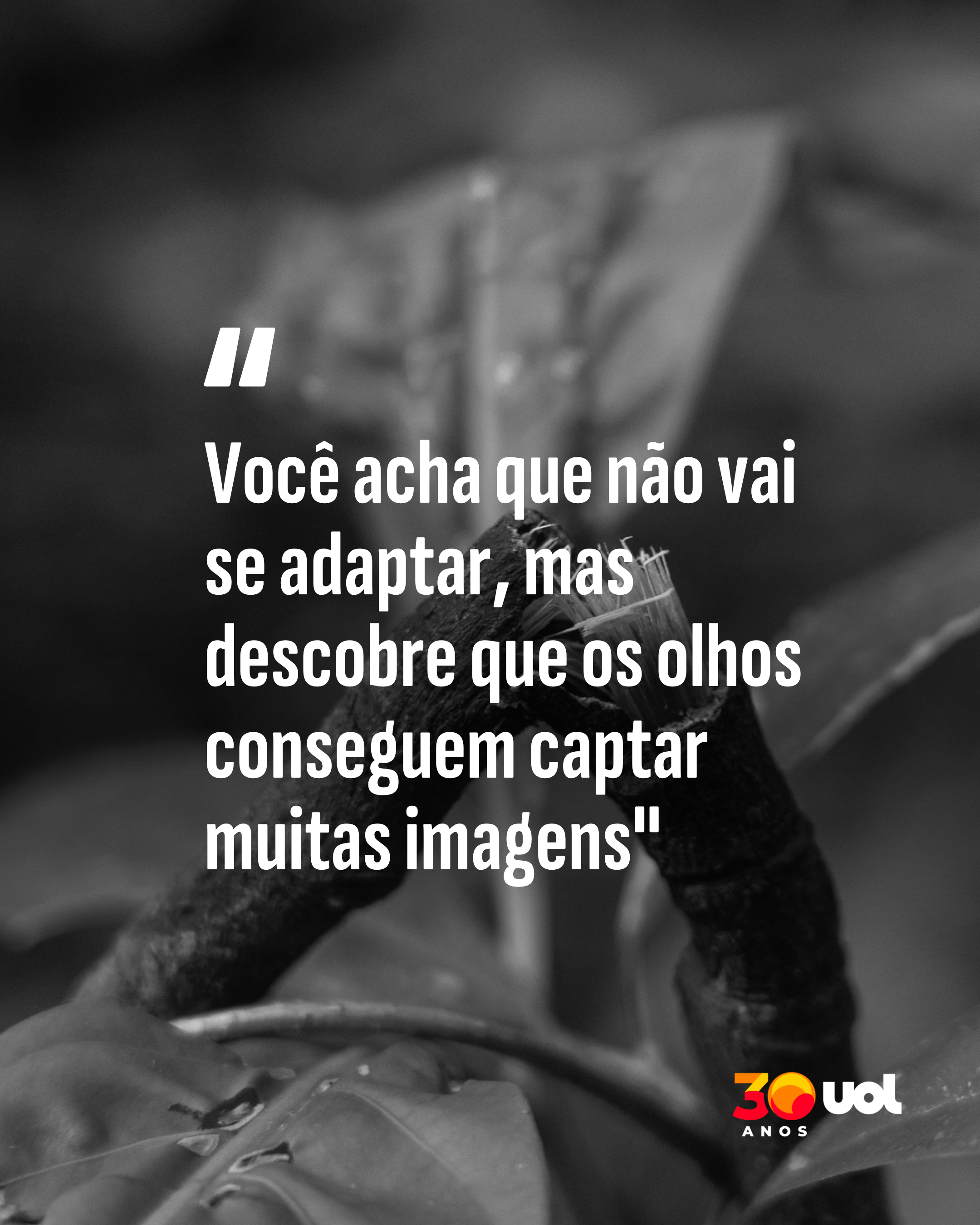 Leão flash 4 - undefined