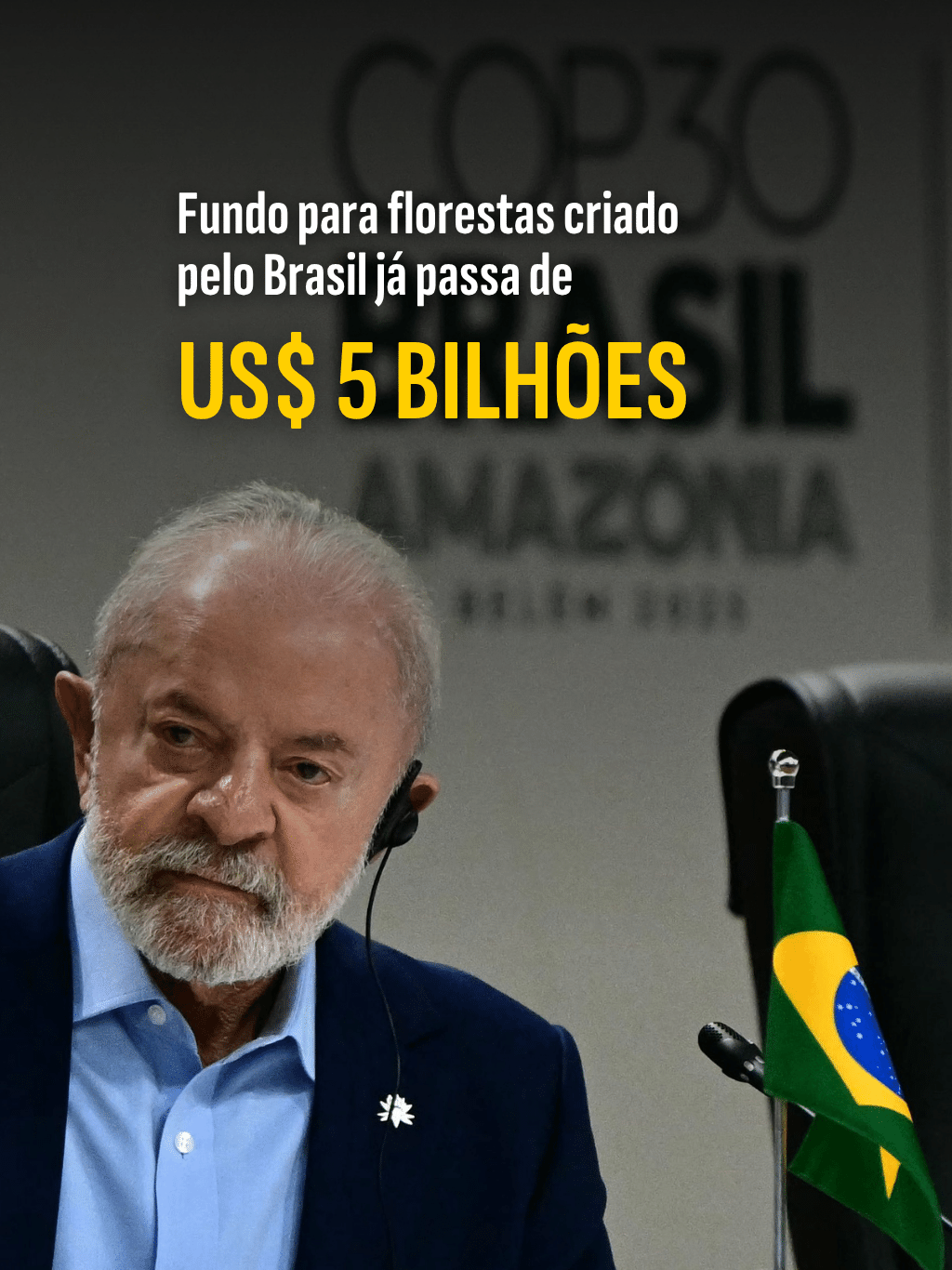 Fundo para florestas criado pelo Brasil já passa de US$ 5 bilhões