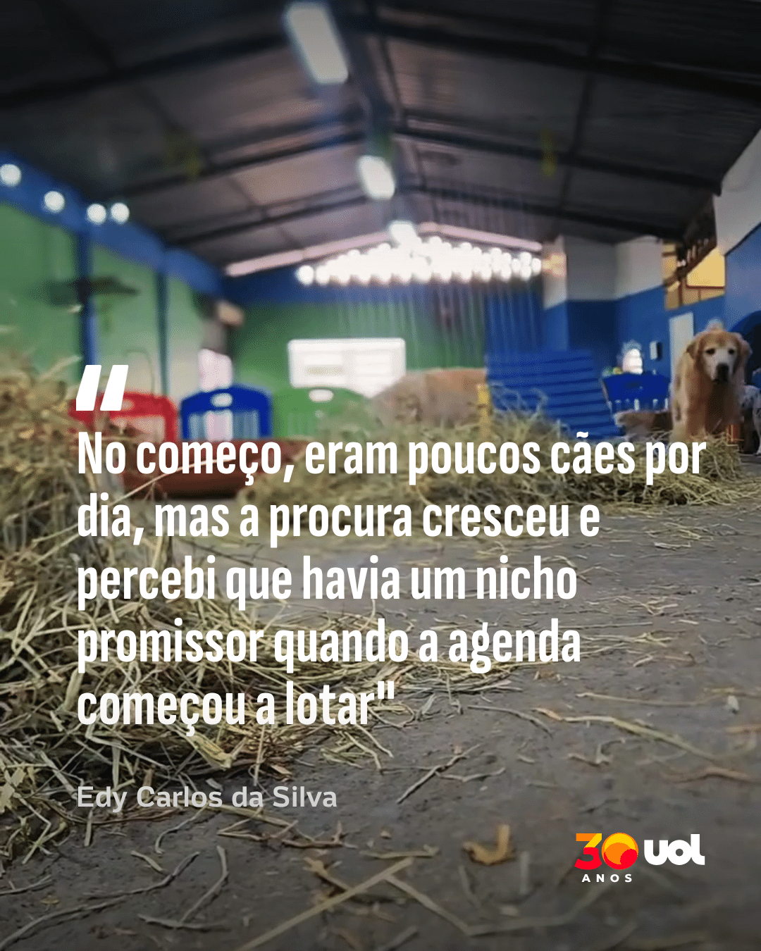 Tio Edy Pet Care - undefined