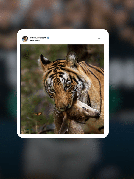 Post de Vitor Roque Post de Vitor Roque