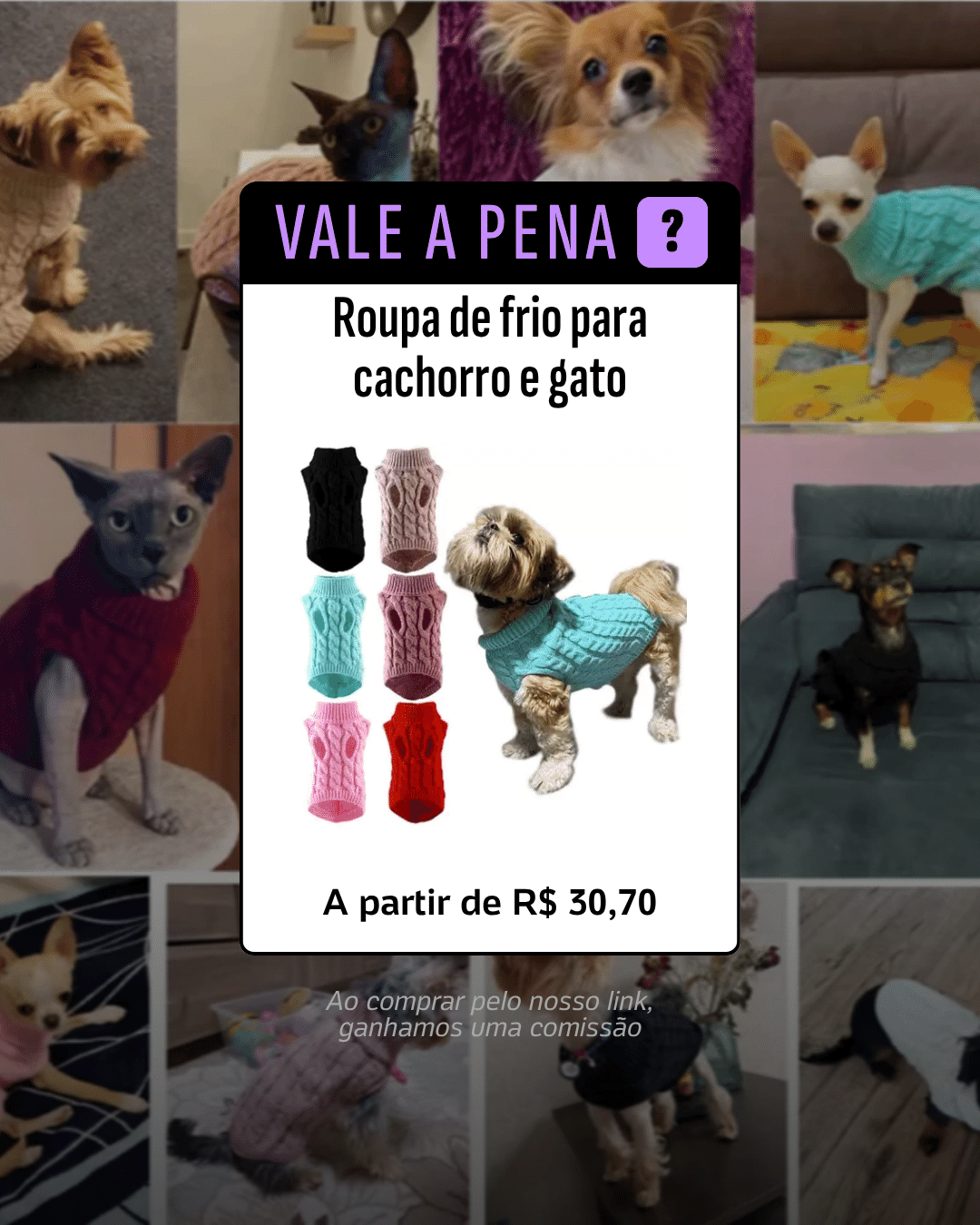 Roupa para pet - Capa - undefined