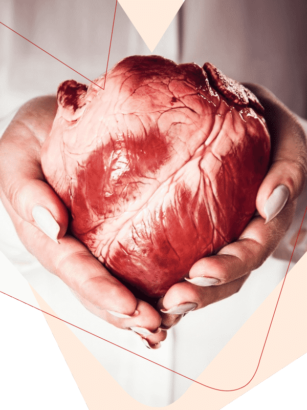 Doe de Coração: Uma corrida pela vida - Doe de Coração