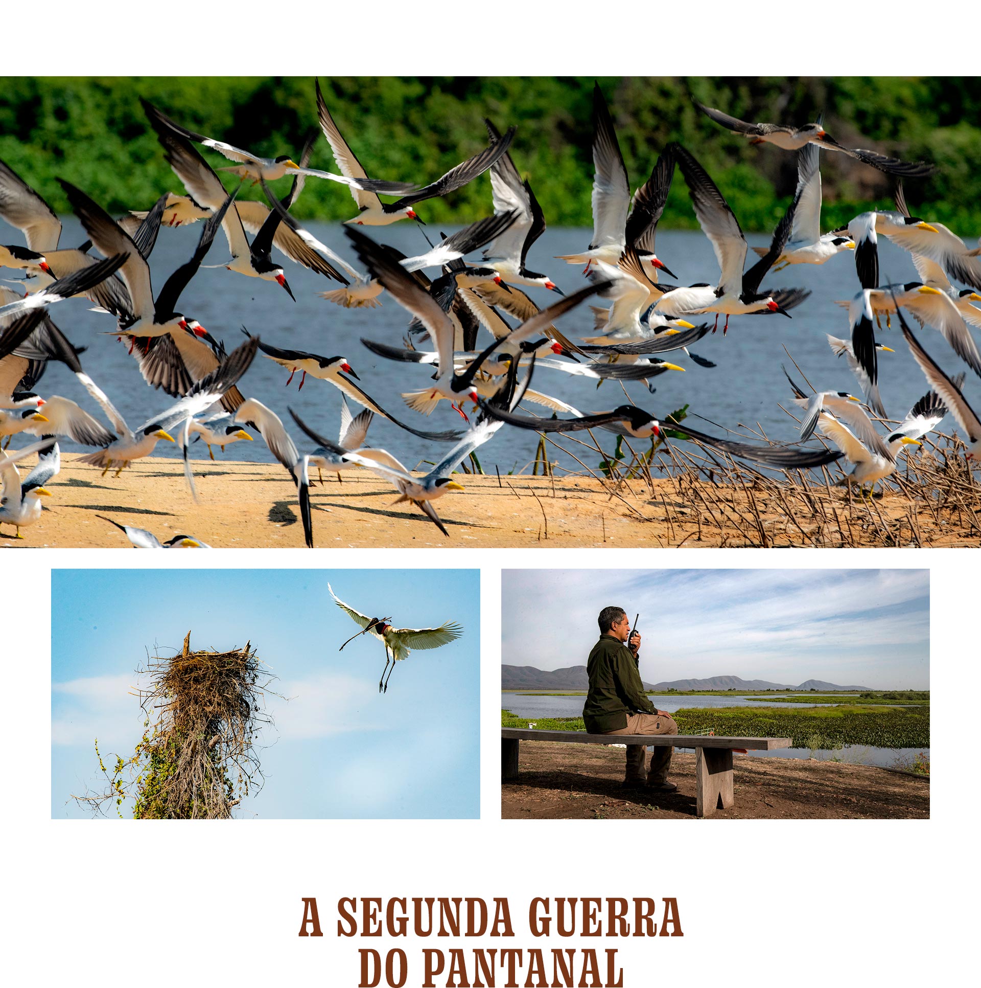 Zé Leôncio existiu de verdade? Quem ele é na vida real? 