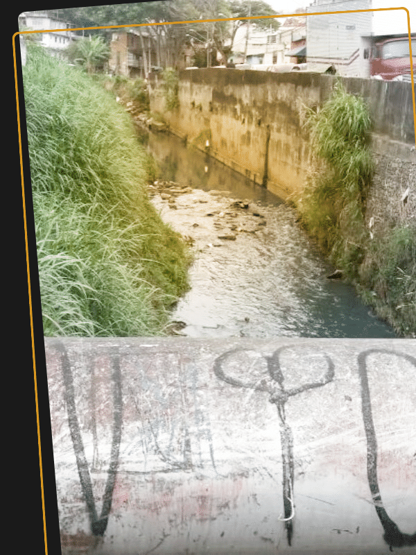 Diego Salgado/UOL Esporte