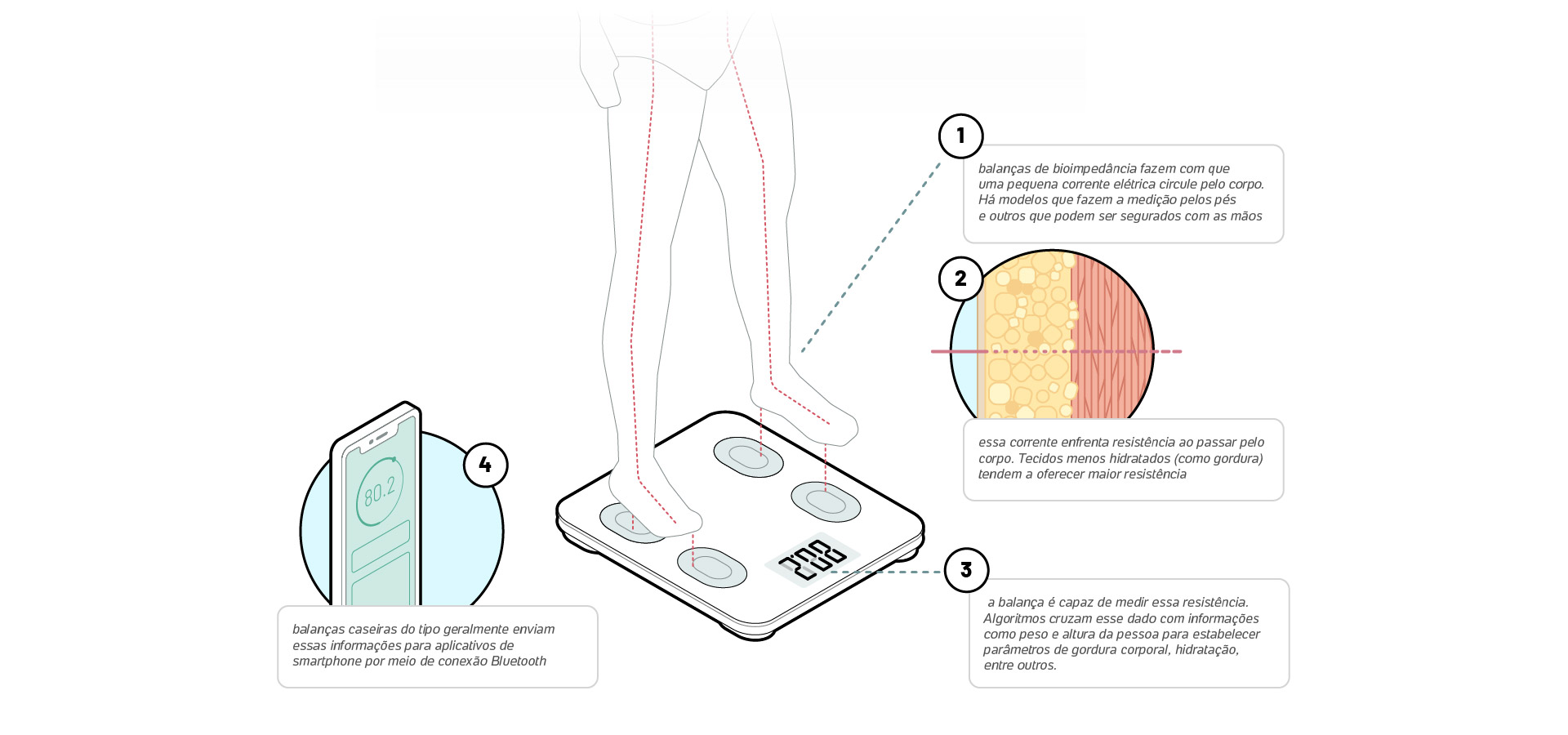 Como funciona uma balança de bioimpedância