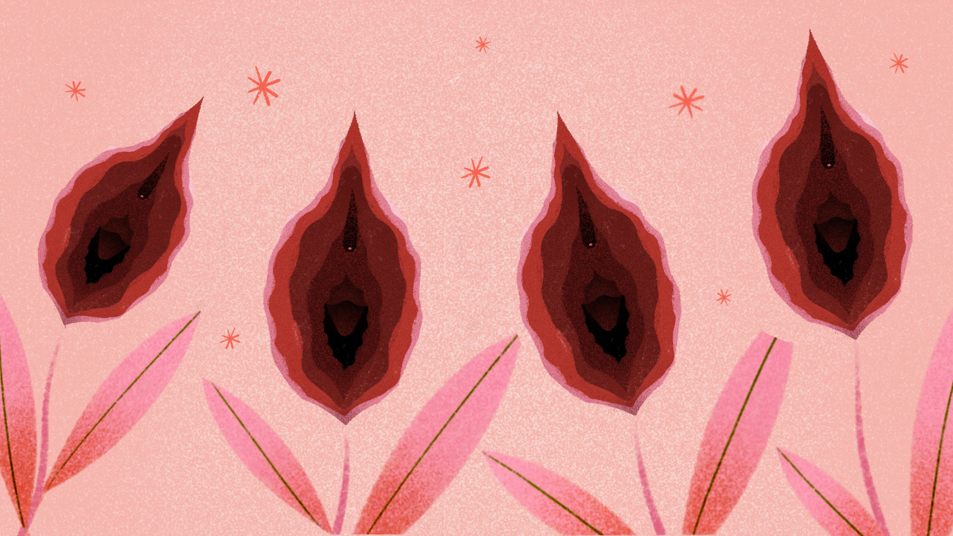 Vulva e vagina: entenda a diferença e a importância de cada parte