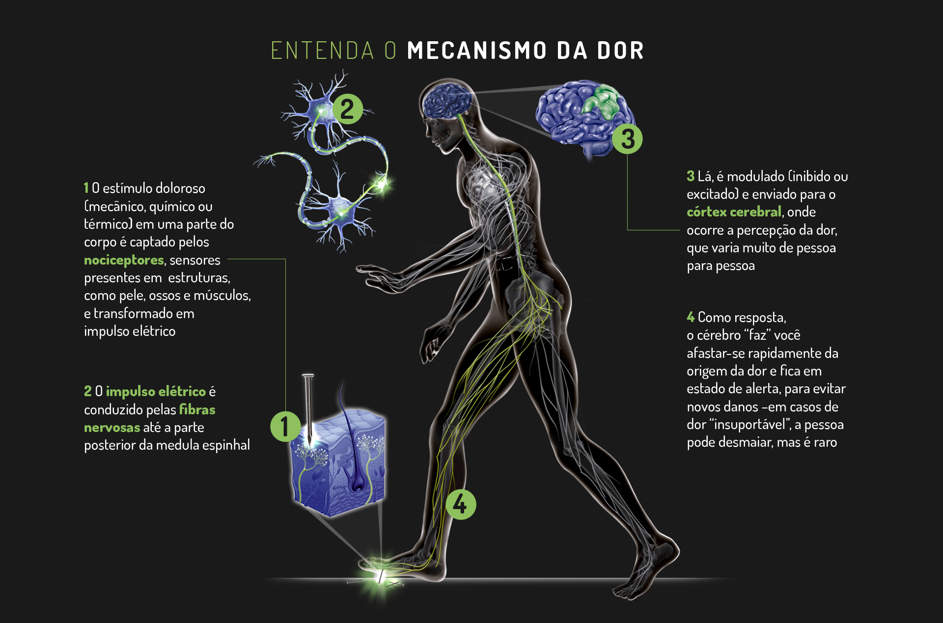 Cerebrais nos curando danos nervos