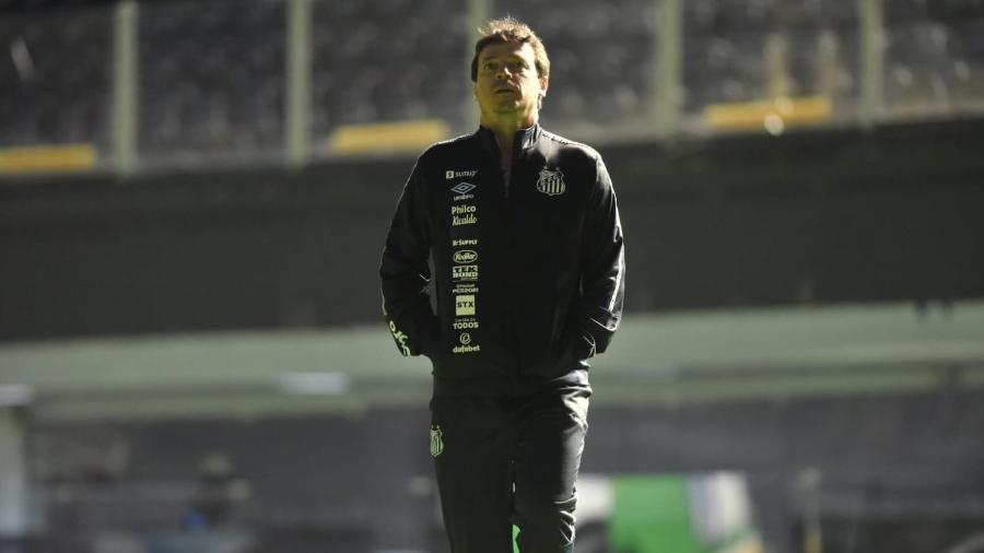 Fernando Diniz, técnico do Santos - Ivan Storti/Santos FC