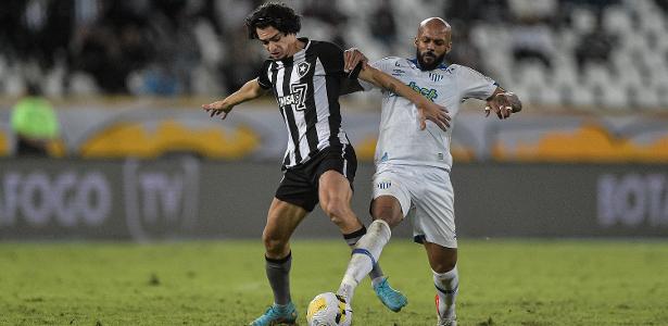 Avaí x Botafogo: onde assistir, escalações, horário e arbitragem