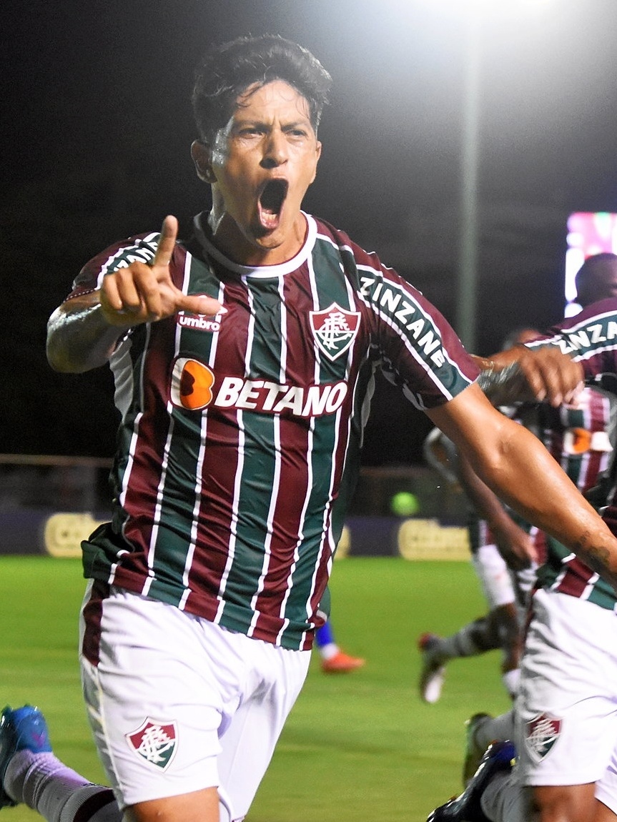 Quem fez o gol do Fluminense contra o Audax?