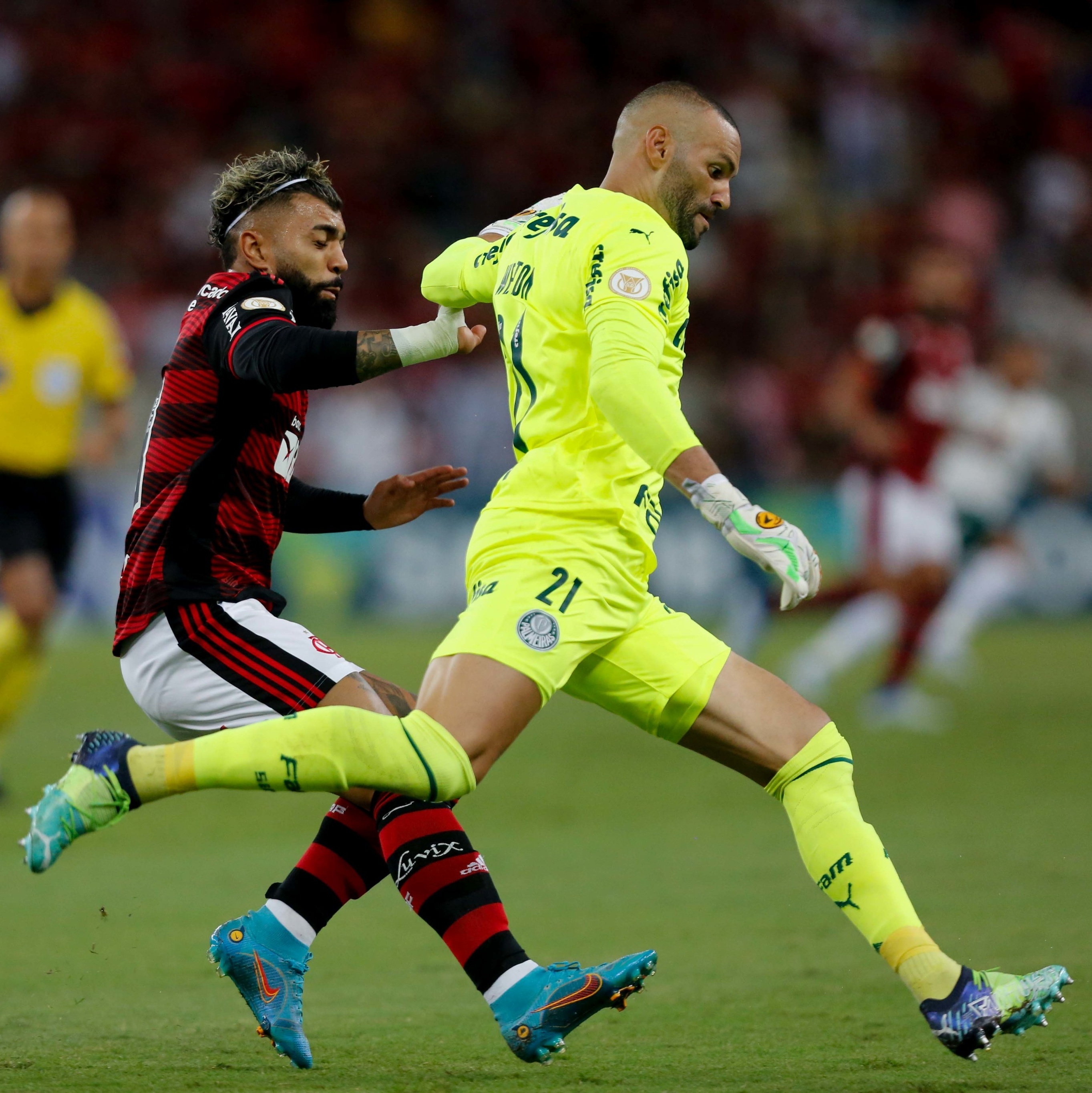 Por que Flamengo e Palmeiras estão polarizando o futebol