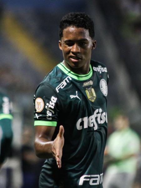 Endrick, do Palmeiras, comemora após marcar contra o Inter, pelo Brasileirão