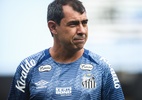 Santos não vence o Avaí desde 2019, mas tem bom retrospecto contra os rivais