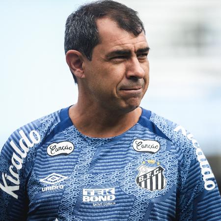 Fábio Carille, técnico do Santos, durante jogo contra o Paysandu pela Série B - Reinaldo Campos/AGIF