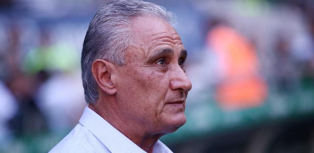 Identificado torcedor que cuspiu em Tite durante jogo do Palmeiras.