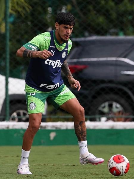 Gustavo Gómez está próximo de retornar no Palmeiras