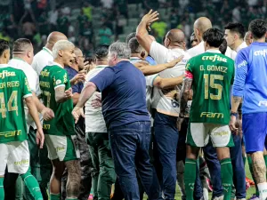 Palmeiras x SPFC: trio não será julgado pelo STJD por briga em clássico