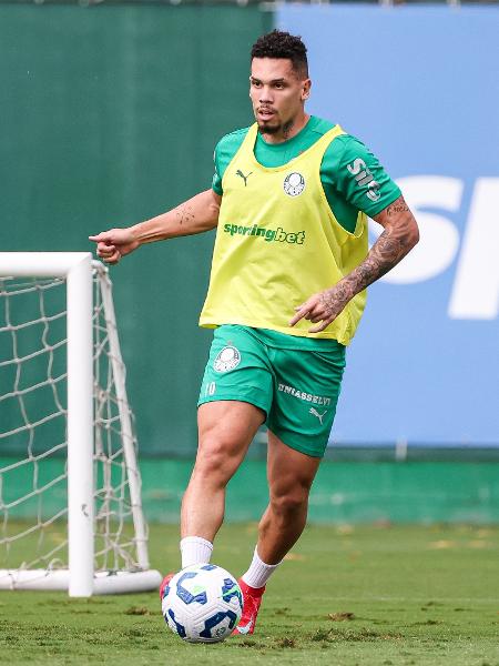 O Palmeiras encara o Bolivar na quinta-feira pela Copa Libertadores