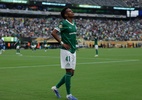 Apesar de placares da estreia, Palmeiras e Botafogo têm lições diferentes