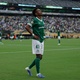 Palmeiras ficou devendo futebol? Colunistas divergem e esquentam debate