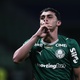 Assista aos gols de Palmeiras, Atl&eacute;tico-MG, Fla e Inter pela Copa do Brasil