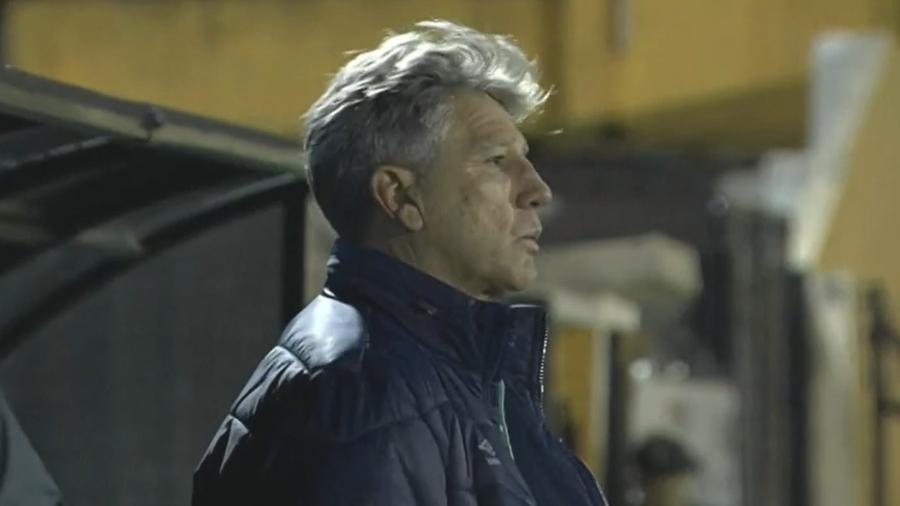 Renato Gaúcho, técnico do Grêmio, busca recuperação do time - Reprodução/Premiere