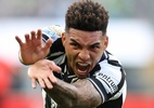 Botafogo joga só para o gasto, mas a real é que foi um domingo perfeito