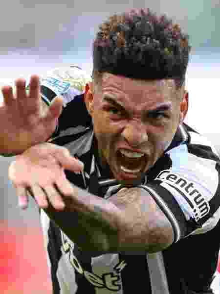 Vítor Silva/Botafogo