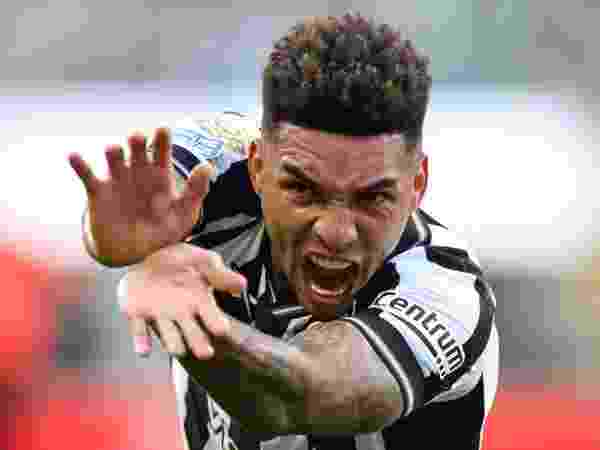Vítor Silva/Botafogo