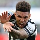 Botafogo joga só para o gasto, mas a real é que foi um domingo perfeito