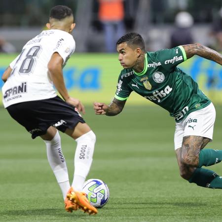 Palmeiras venceu todos os jogos contra o Fluminense que disputou no Allianz  - Gazeta Esportiva