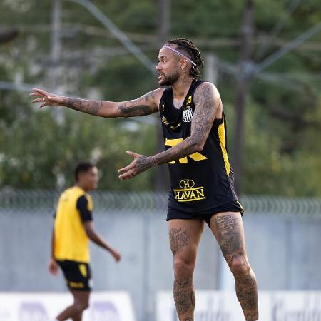 Neymar, em treino do Santos - Reprodução/Neymar Jr Site