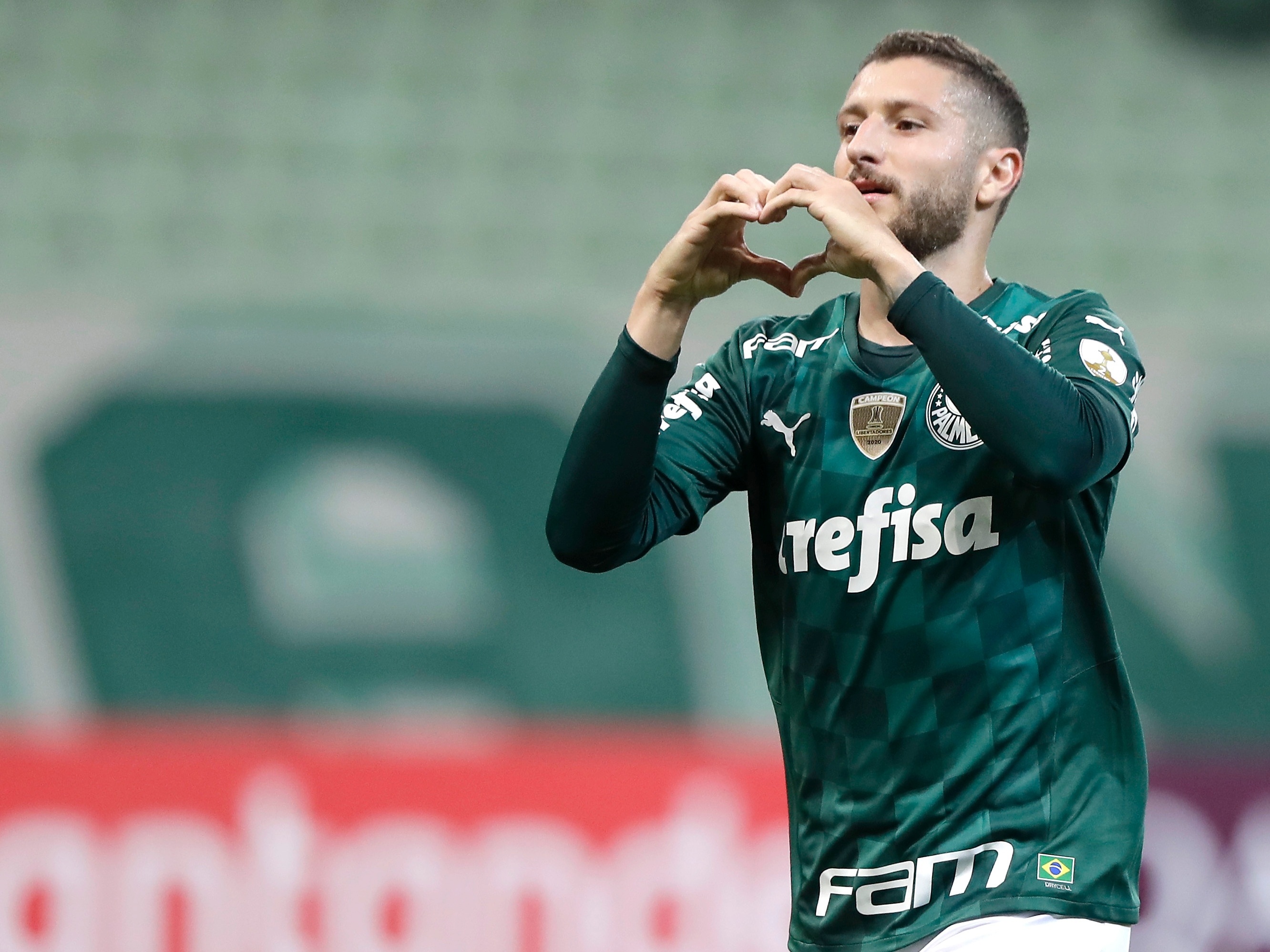 PALMEIRAS. Um pequeno torcedor do Palmeiras viralizou nas redes sociai