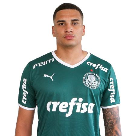 Henri, zagueiro do Palmeiras - Divulgação/Site oficial do Palmeiras