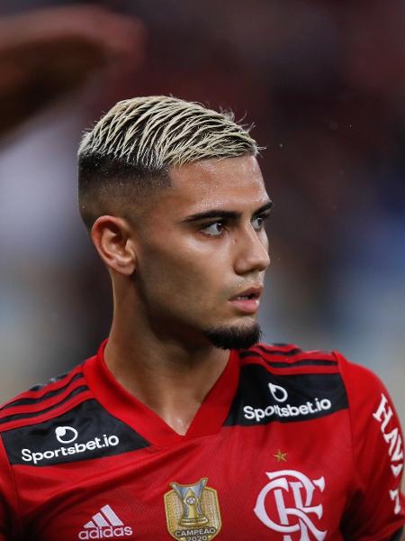 Andreas Pereira tem em mãos um contrato válido até 2026 com o Flamengo - Gilvan de Souza / Agencia O Dia