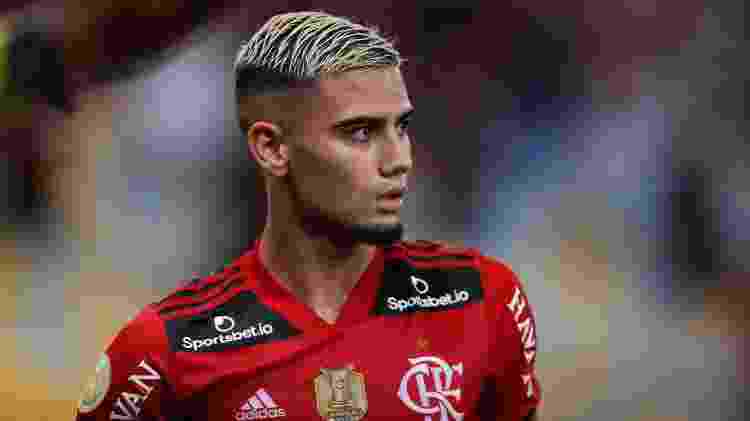 Andreas Pereira, em ação pelo Flamengo diante do Ceará, no Maracanã - Gilvan de Souza / Agencia O Dia - Gilvan de Souza / Agencia O Dia