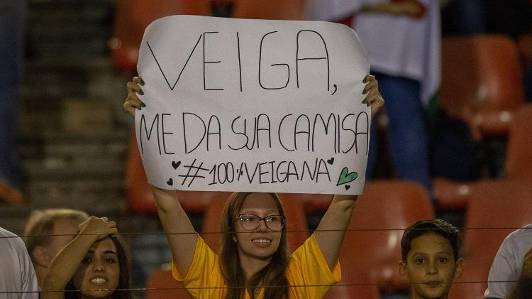Torcedora do Palmeiras mostra cartaz de apoio a Rafael Veiga - Marcos Zanutto/AGIF - Marcos Zanutto/AGIF