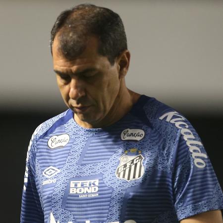 Fábio Carille, técnico do Santos, durante jogo contra o Goiás