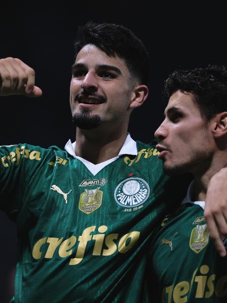 Palmeiras pode ser vice-líder ao fim da rodada - Ettore Chiereguini/Agif