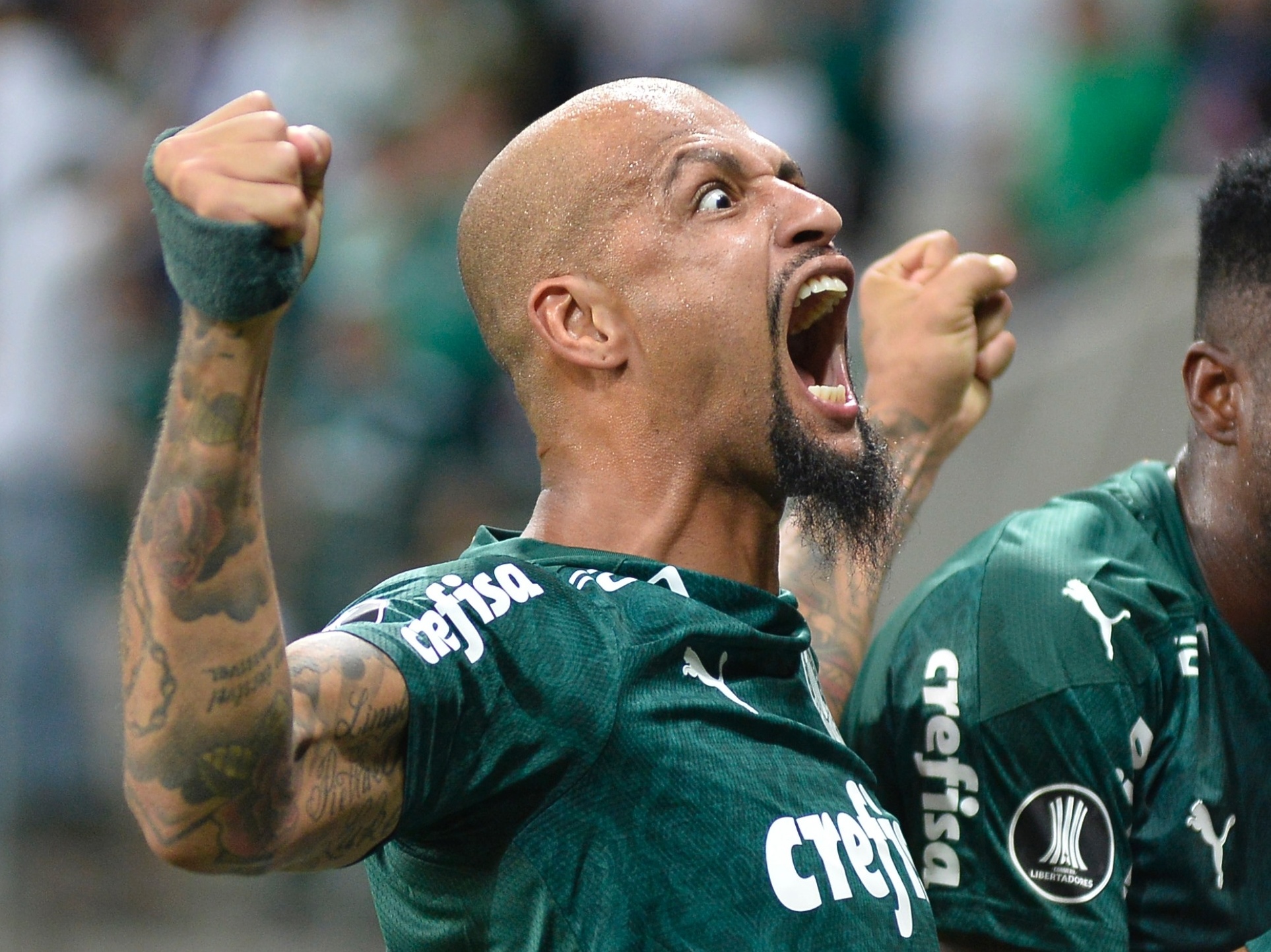 Felipe Melo recebe sexto cartão em oito jogos, e Palmeiras é o time mais  advertido do Brasileirão, palmeiras