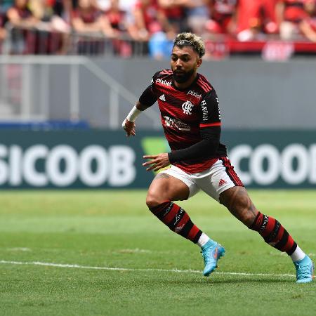  Flamengo x Botafogo: Gabigol em ação no Estádio Mané Garrincha - Mateus Bonomi/AGIF